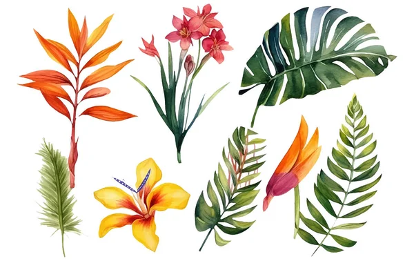 Akvarell Uppsättning Vektor Illustration Tropiska Blommor Isolerad Vit Bakgrund — Stock vektor