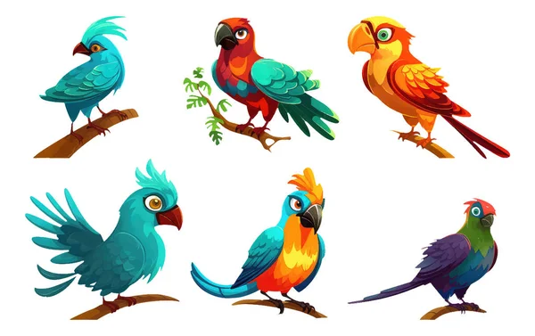 Set Ilustración Vectorial Aves Tropicales Con Plumas Color Brillante Aisladas — Vector de stock