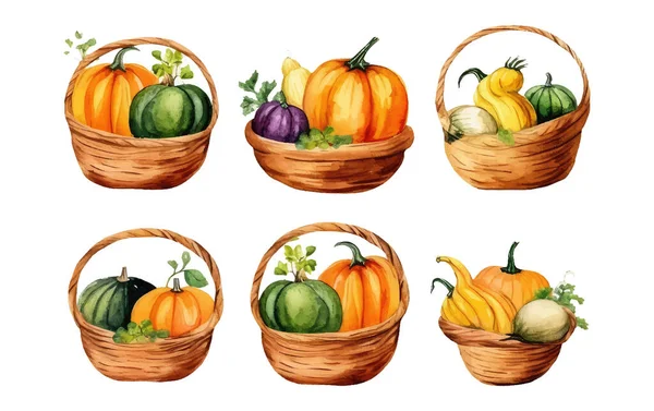 水彩絵具セット白地に隔離されたバスケットに秋のカボチャの収穫のベクトル図 — ストックベクタ