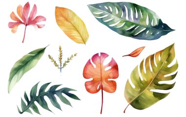 beyaz arkaplanda izole edilmiş tropikal çiçeklerin suluboya vektör çizimi.