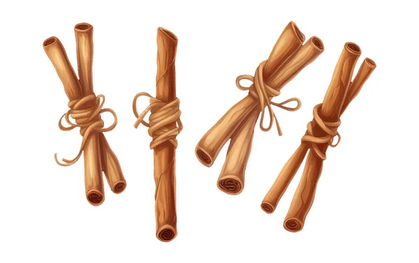 Set Illustration Brown Dry Cinnamon Wrapped Stick Isolated White Baclground — Stock Vector