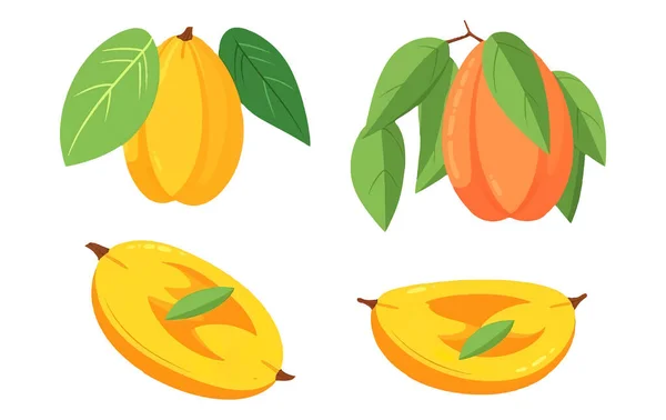 白い背景に描かれた熟したマンゴーや梅のベクトル図 — ストックベクタ