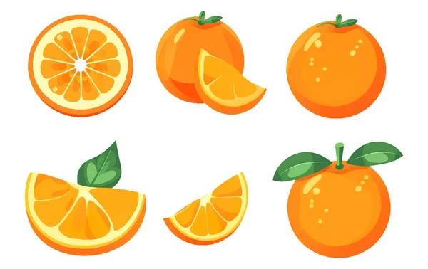 Set Vector Illustration Ripe Orange Isolated White Background — Stock Vector