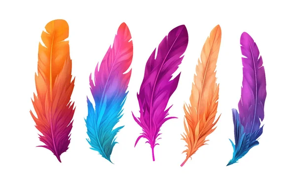 Uppsättning Vektor Illustration Ljus Färg Fjäder Tropisk Fågel Isolerad Vit — Stock vektor