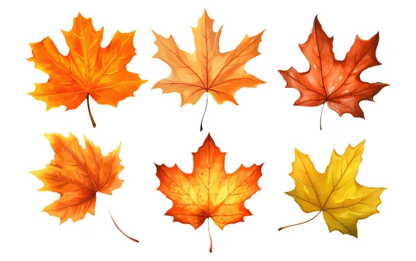 Set Vector Illustration Autumn Leaf Elements Isolated White Background — Stock Vector