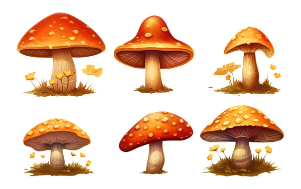 Set Vector Illustration Forest Red Amanita Isolated White Baclground Cones — Stock Vector