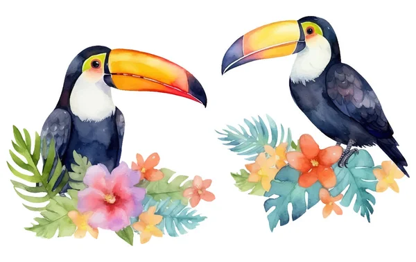 Acuarela Conjunto Ilustración Pájaro Tucán Entre Las Hojas Tropicales Aisladas — Archivo Imágenes Vectoriales