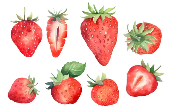 Set Vector Illustration Ripe Strawberry Isolated White Background — Stock Vector