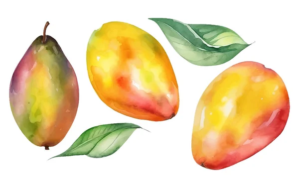 Set Vettoriale Acquerello Illustrazione Mango Maturo Prugna Isolato Sfondo Bianco — Vettoriale Stock