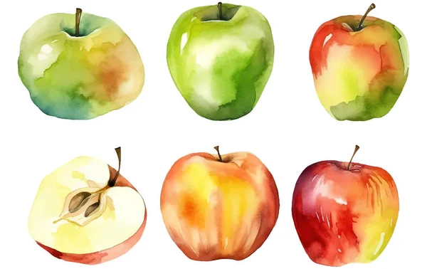 Set Vektor Aquarell Illustration Des Reifen Apfels Isoliert Auf Weißem — Stockvektor
