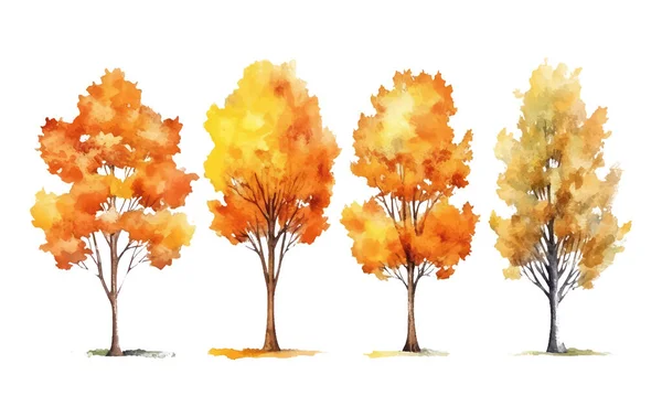 Akvarel Set Vektor Ilustrace Barevné Podzimní Strom Izolované Bílém Pozadí — Stockový vektor
