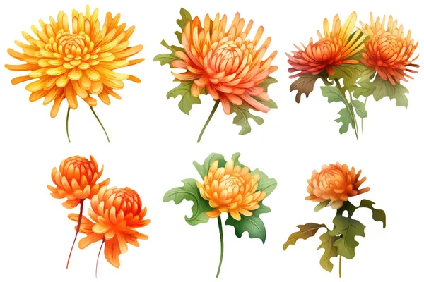 Ensemble Illustration Vectorielle Fleur Jaune Orange Isolat Sur Fond Blanc — Image vectorielle