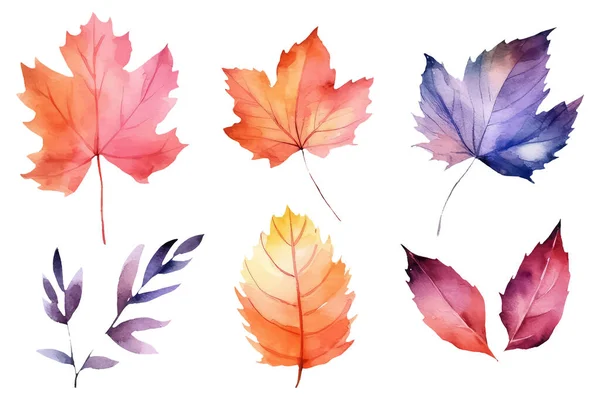 Akvarel Sada Krásných Barevných Podzimních Listů — Stockový vektor