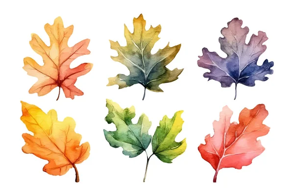 Conjunto Aquarela Belas Folhas Coloridas Outono — Vetor de Stock
