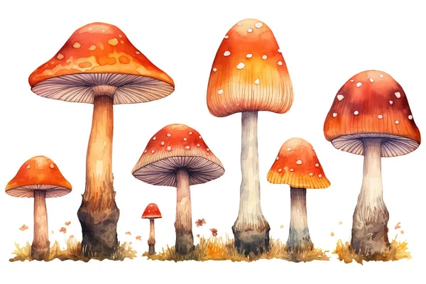 Collection Watercolor Autumn Mushrooms Isolated White Background — Stock Vector