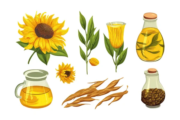 Stock vector set sunflower oil in cartoon style for video game isolated on white background.