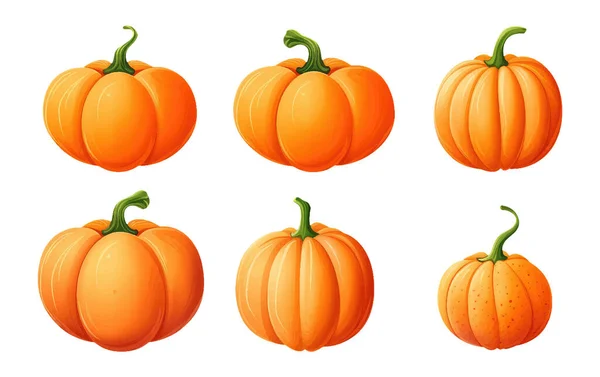 Set Vector Illustration Autumn Pumpkin Harvest Isolated White Background — Stock Vector
