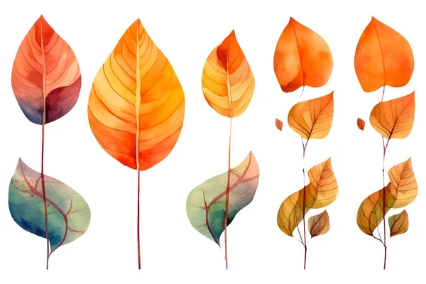 Set Aquarell Herbst Farnblätter Auf Weißem Hintergrund — Stockvektor