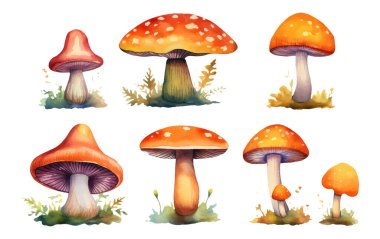 Beyaz arka plan palamutları üzerinde izole edilmiş orman kırmızı amanitasının vektör çizimini ayarla.