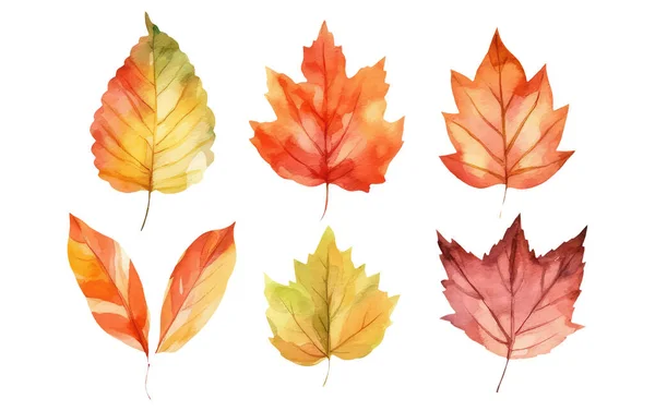 Akvarel Set Vektorové Ilustrace Podzimní Listy Prvky Izolované Bílém Pozadí — Stockový vektor