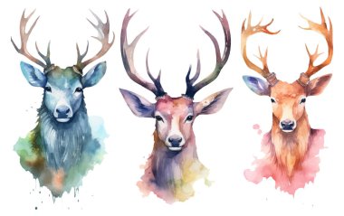 Geyiklerin sonbaharda beyaz arka planda izole edilmiş suluboya vektör çizimi.