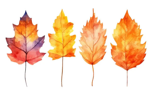 水彩集矢量图解秋天叶子元素在白色背景上分离 — 图库矢量图片