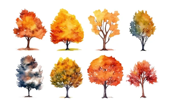 Watercolor Set Vector Illustration Colorful Autumn Tree Isolated White Background — Stock Vector