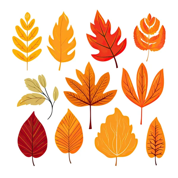 Nastavit Podzimní Listy Izolované Bílém Pozadí — Stockový vektor