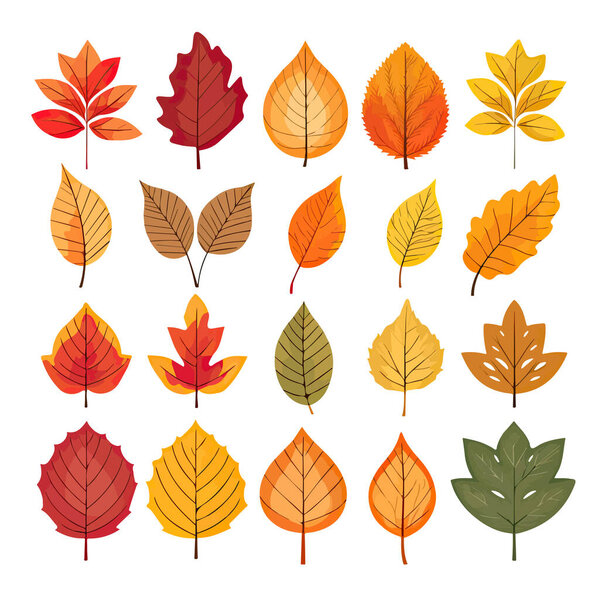 set autumn leaves isolated on white background