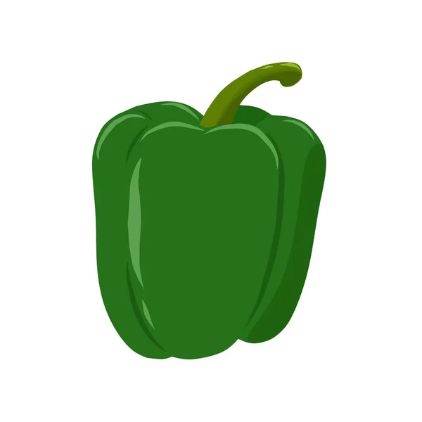 Illustration Green Pepper — Stock Vector