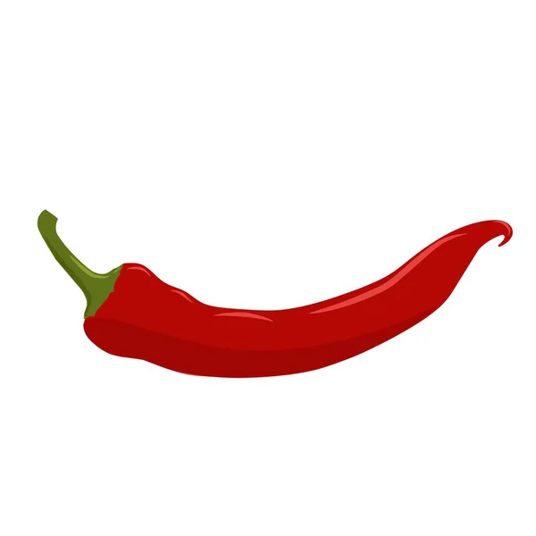 Illustration Large Red Pepper — Stock Vector