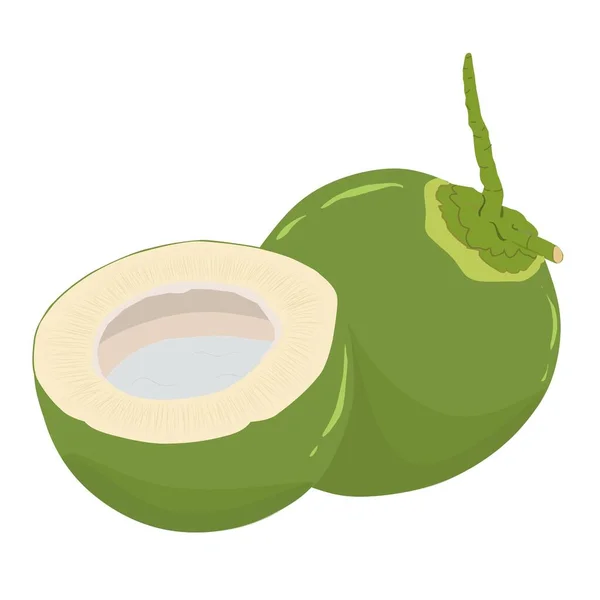 Illustration Whole Coconut Split Coconut — Stock Vector