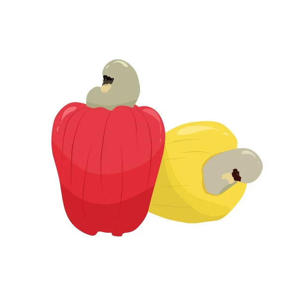 Illustration Eines Rot Gelben Cashew Vektors Auf Weißem Hintergrund — Stockvektor