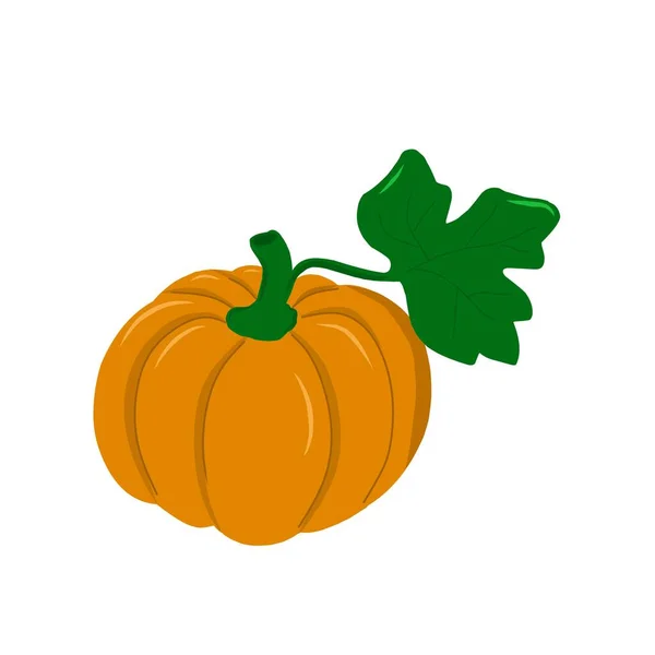 Pumpkin Leaf — Stock Vector