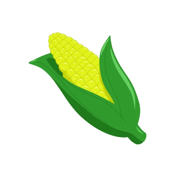 玉米芯上的玉米图例 — 图库矢量图片