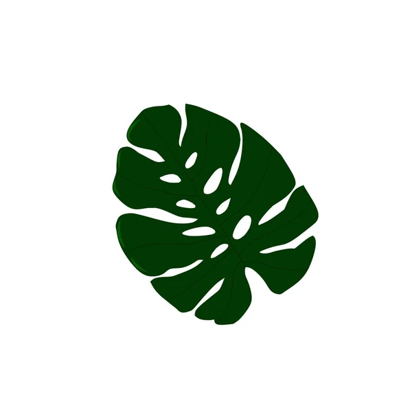 Une Feuille Verte Une Plante Tropicale Avec Mot Tropical Dessus — Image vectorielle