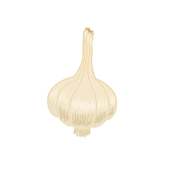 Tüm sarımsağın resmedilmesi amblem veya simge olarak kullanılabilir