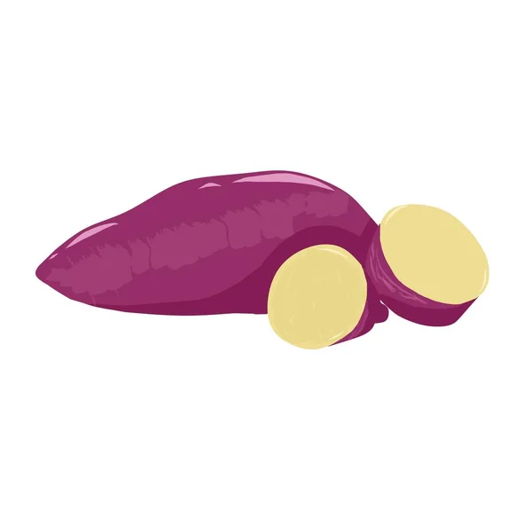 Illustration Von Ganzen Und Scheiben Geschnittenen Lila Süßkartoffeln — Stockvektor