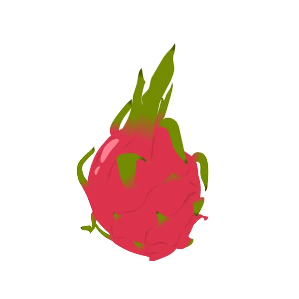 Ejderha meyvesi çizimleri sembol ya da elementler için kullanılabilir 