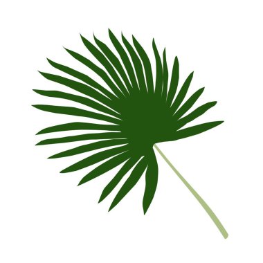 Palmiye yaprağı çizimi, estetik yaprak 