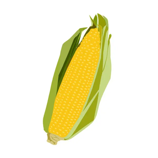 Beyaz arkaplanda sarı mısır vektörü tasviri 