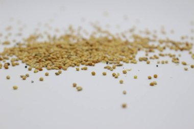 Farklı tohum çeşitlerine sahip kuş yemi fotoğrafları..