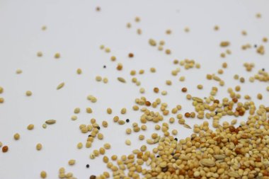 Farklı tohum çeşitlerine sahip kuş yemi fotoğrafları..