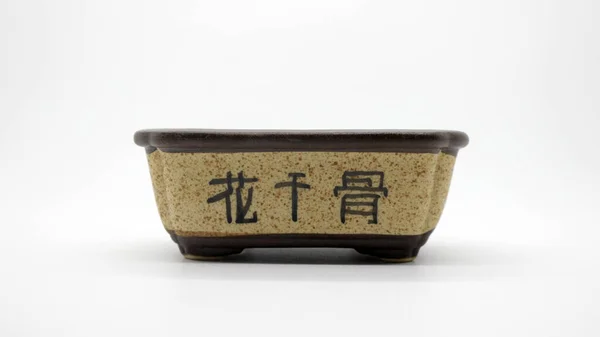 Açık Kahverengi Seramik Bonsai Saksı — Stok fotoğraf