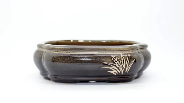 Preto Vaso Cerâmica Bonsai Planta — Fotografia de Stock