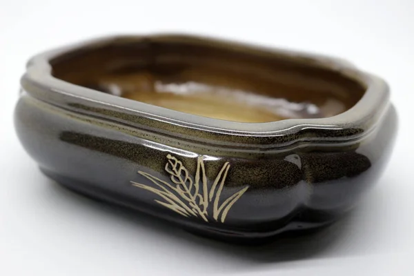 Preto Vaso Cerâmica Bonsai Planta — Fotografia de Stock