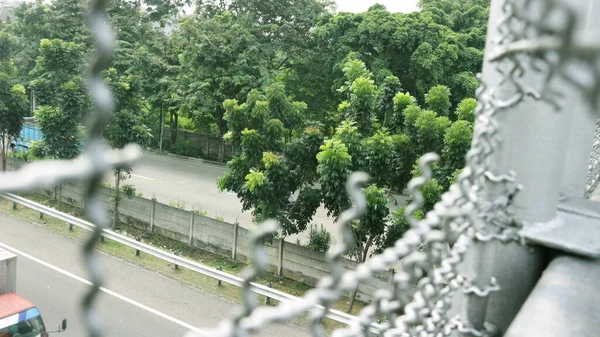 高速道路上の壊れた鉄線フェンスからの木のビューをぼかす効果 — ストック写真