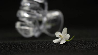 Siyah arka planda küçük beyaz çiçekli plastik saç tokalarını temizle