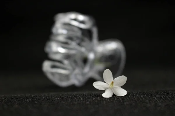 Σαφές Πλαστικό Κλιπ Μαλλιών Μικρά Λευκά Λουλούδια Μαύρο Φόντο — Φωτογραφία Αρχείου