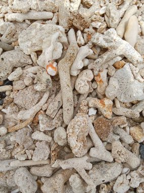 Gün boyunca sahilde yığınla taş.